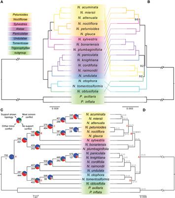 Phylotranscriptomics supports numerous polyploidization events and phylogenetic relationships in Nicotiana